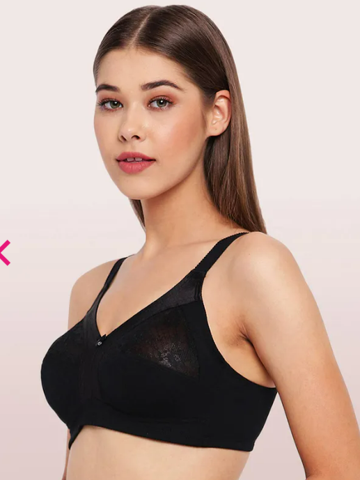 enamor minimizer bra