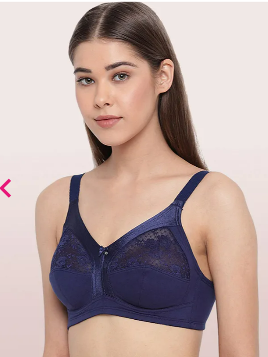 enamor push up bra