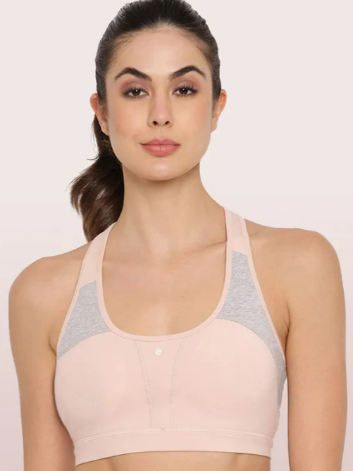 enamor sports bra price