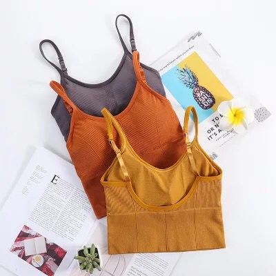 padded sports bra 